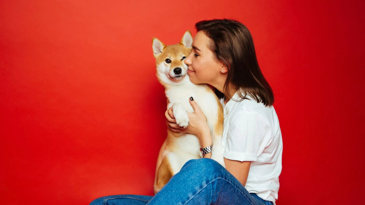 Canine Recessed Vulva: Recognizing Signs, Symptoms, and Effective Treatment Options