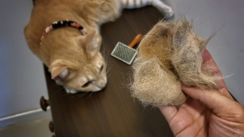 How to Remove Hairballs from Cats Fur: Expert Tips and Tricks