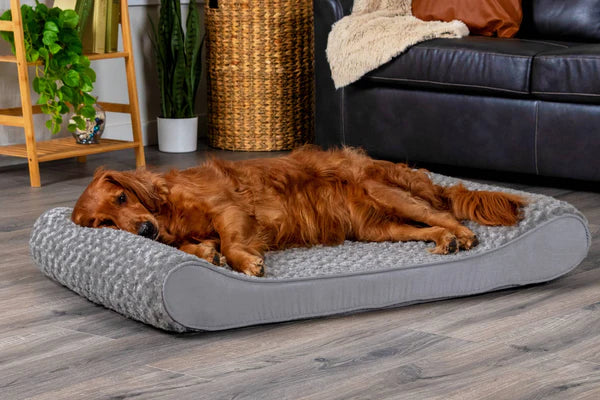 Dog sleeping on the bed