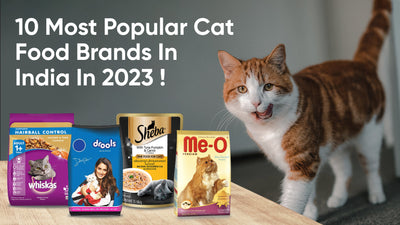 10 Popular Cat Food Brands in India in 2024