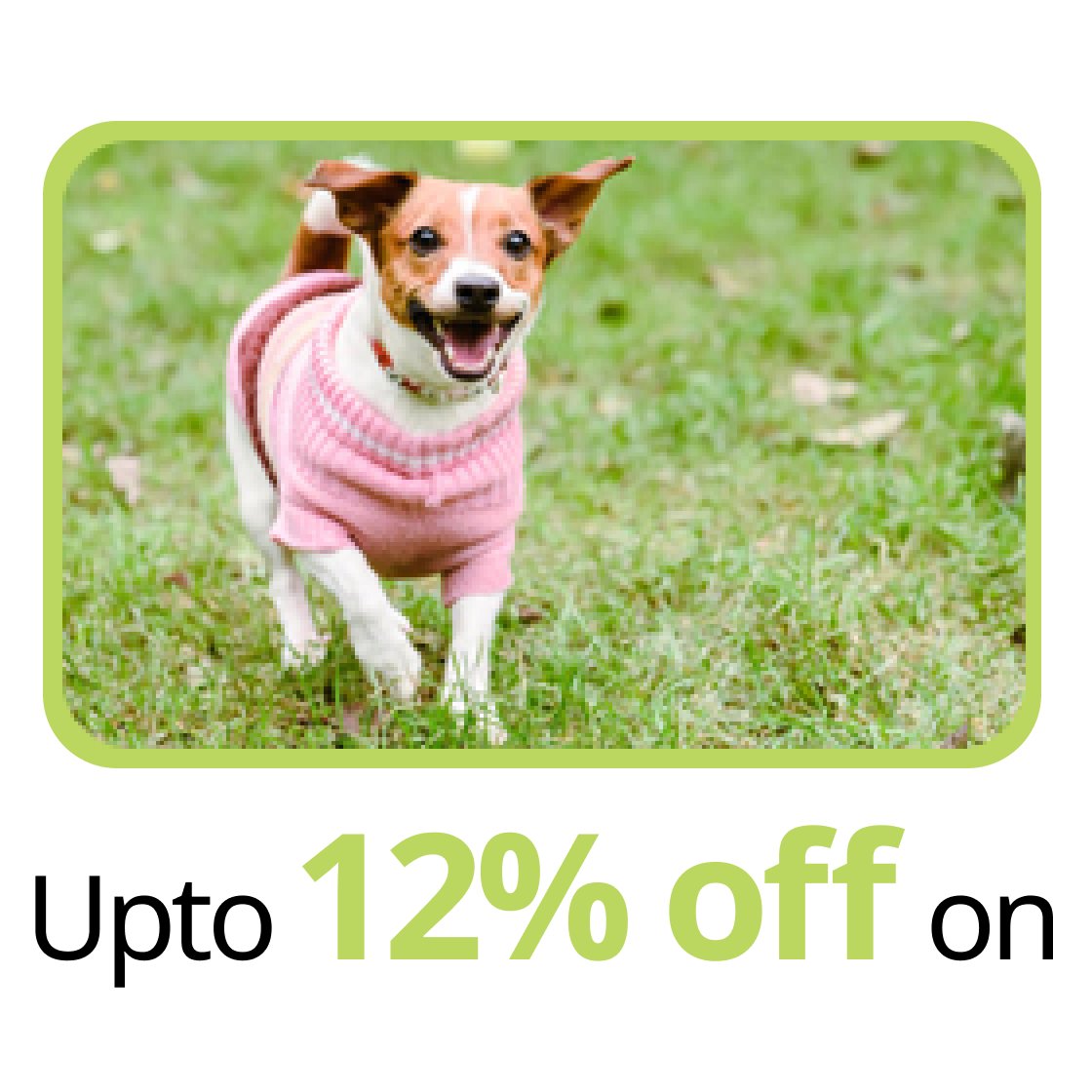 Dog Clothes: Buy Dog Clothing Outfits at Best Price in India