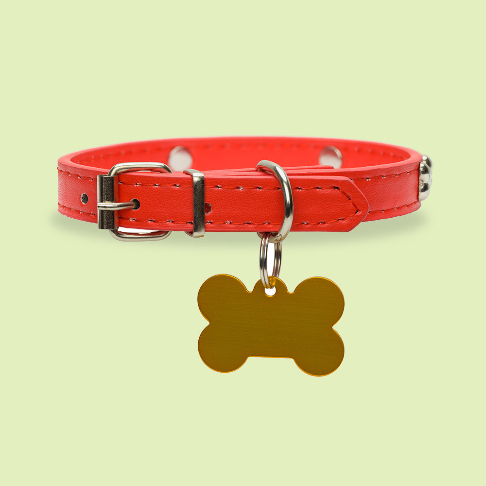 Buy Pet Collars Online  Buy Dog Collars in India