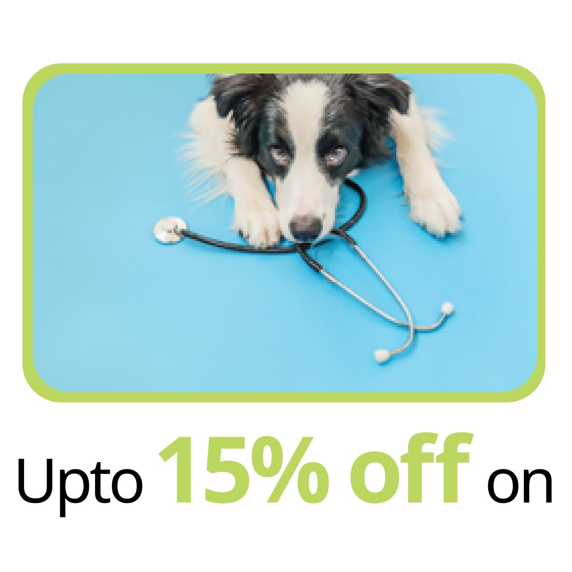 Dog Health Care: Shop Trendy Safe Essentials For Your Pup