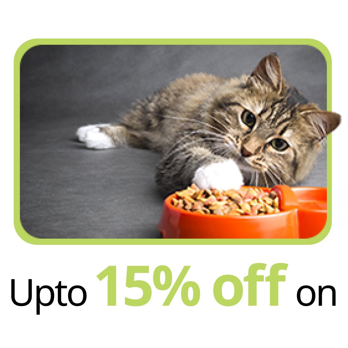 Cat food online outlet delivery