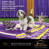 Pro Plan Chicken Medium Breed Adult Dog Dry Food (New Improved Formula) (Limited Shelf Life) Dogs- Dry Food Pro Plan