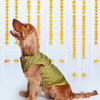 Pet Set Go Kurta for Dogs (Green) Dogs-Clothing & Accessories Pet Set Go Dropship