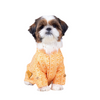 15 Furries Haldi Kurta for Dogs Dogs-Clothing & Accessories 15 Furries Dropship