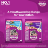 Whiskas Ocean Fish and Tuna in Jelly Kitten Dry and Wet Food Combo Exclusive Combo Whiskas
