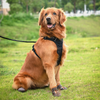 Truelove Reflective Waterproof and TPR Sole Shoes for Dogs (Pinecone/Glazed Ginger, Set of 4) Dogs-Clothing & Accessories True Love