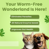 Bark Out Loud En Dewor Deworming Solution Tablets for Dogs and Cats Both-Health & Wellness Bark Out Loud