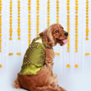 Pet Set Go Kurta for Dogs (Green) Dogs-Clothing & Accessories Pet Set Go Dropship 14