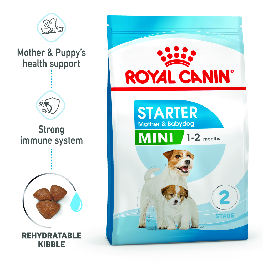 Royal Canin Mini Starter for Small Breed Dogs and Puppies Dry Food Dogs- Dry Food Royal Canin