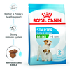 Royal Canin Mini Starter for Small Breed Dogs and Puppies Dry Food Dogs- Dry Food Royal Canin