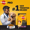Pedigree PRO Expert Nutrition Adult Dog Dry Food for Small Breed Dogs- Dry Food Pedigree PRO