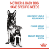 Royal Canin Maxi Starter Dog Dry Food (Limited Shelf Life) Dogs- Dry Food Royal Canin
