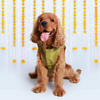 Pet Set Go Kurta for Dogs (Green) Dogs-Clothing & Accessories Pet Set Go Dropship