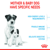 Royal Canin Mini Starter for Small Breed Dogs and Puppies Dry Food Dogs- Dry Food Royal Canin