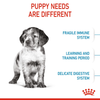 Royal Canin Medium Puppy Dog Dry Food (Limited Shelf Life) Dogs- Dry Food Royal Canin
