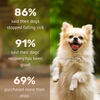Absolut Pet Postbiotics to Boost Immunity Chews Dogs Treat