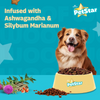 Mankind Petstar Chicken and Wheat Adult Dog Dry Food Dogs- Dry Food Petstar