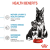 Royal Canin Maxi Starter Dog Dry Food (Limited Shelf Life) Dogs- Dry Food Royal Canin