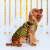 Pet Set Go Kurta for Dogs (Green) Dogs-Clothing & Accessories Pet Set Go Dropship