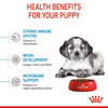 Royal Canin Medium Puppy Dog Dry Food (Limited Shelf Life) Dogs- Dry Food Royal Canin