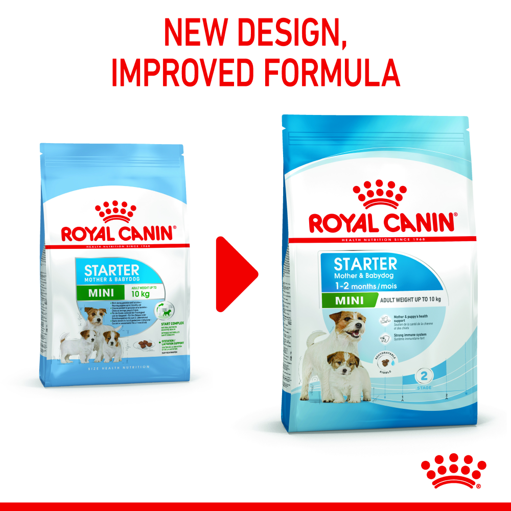 Royal Canin Mini Starter for Small Breed Dogs and Puppies Dry Food Dogs- Dry Food Royal Canin