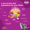 Whiskas Ocean Fish and Tuna in Jelly Kitten Dry and Wet Food Combo Exclusive Combo Whiskas