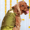 Pet Set Go Kurta for Dogs (Green) Dogs-Clothing & Accessories Pet Set Go Dropship