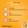 Pedigree Chicken, Egg and Rice Dry and Chicken and Liver Chunks in Gravy Wet Adult Dog Food Combo Exclusive Combo Pedigree