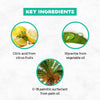 Born Good Plant Based Pet Safe Fragrance Liquid Laundry Detergent (Limited Shelf Life) Both-Health & Wellness Born Good