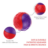 GiGwi Ball Squeaker Toy for Dogs (Red/Purple) Dogs-Toys GiGwi