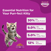 Whiskas Ocean Fish and Tuna in Jelly Kitten Dry and Wet Food Combo Exclusive Combo Whiskas