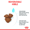 Royal Canin Mini Starter for Small Breed Dogs and Puppies Dry Food Dogs- Dry Food Royal Canin
