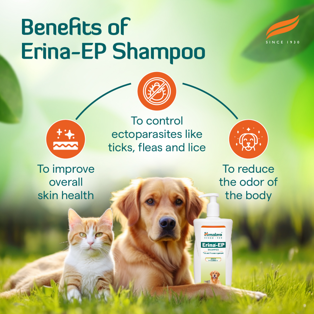 Himalaya Erina EP Tick and Flea Shampoo for Dogs and Cats