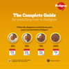 Pedigree Lamb Flavour Chunks in Gravy Puppy Wet Food Dogs-Wet Food Pedigree