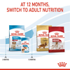 Royal Canin Medium Puppy Dog Dry Food (Limited Shelf Life) Dogs- Dry Food Royal Canin