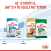 Royal Canin Mini Puppy Dog Dry Food (Limited Shelf Life) Dogs- Dry Food Royal Canin