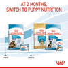Royal Canin Maxi Starter Dog Dry Food (Limited Shelf Life) Dogs- Dry Food Royal Canin