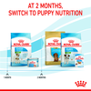 Royal Canin Mini Starter for Small Breed Dogs and Puppies Dry Food Dogs- Dry Food Royal Canin
