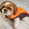 Woofiezz Warm & Comfortable Winter Jackets for Dogs and Cats (Orange/Blue) Both-Clothing & Accessories Woofiezz Dropship M