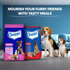 Chappi Chicken & Milk Dry Puppy Food (Limited Shelf Life) Dogs- Dry Food Chappi