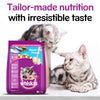 Whiskas Ocean Fish and Tuna in Jelly Kitten Dry and Wet Food Combo Exclusive Combo Whiskas