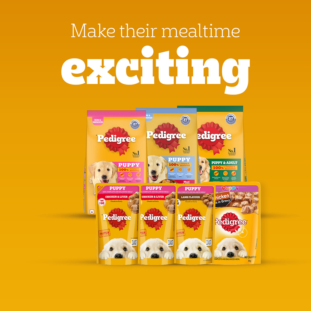 Pedigree Chicken and Milk Puppy Dry Food, Kennel Kitchen Lamb Chunks in Gravy Wet Food, Intas Pomisol Ear Drops Dog Combo Exclusive Combo Exclusive Combo