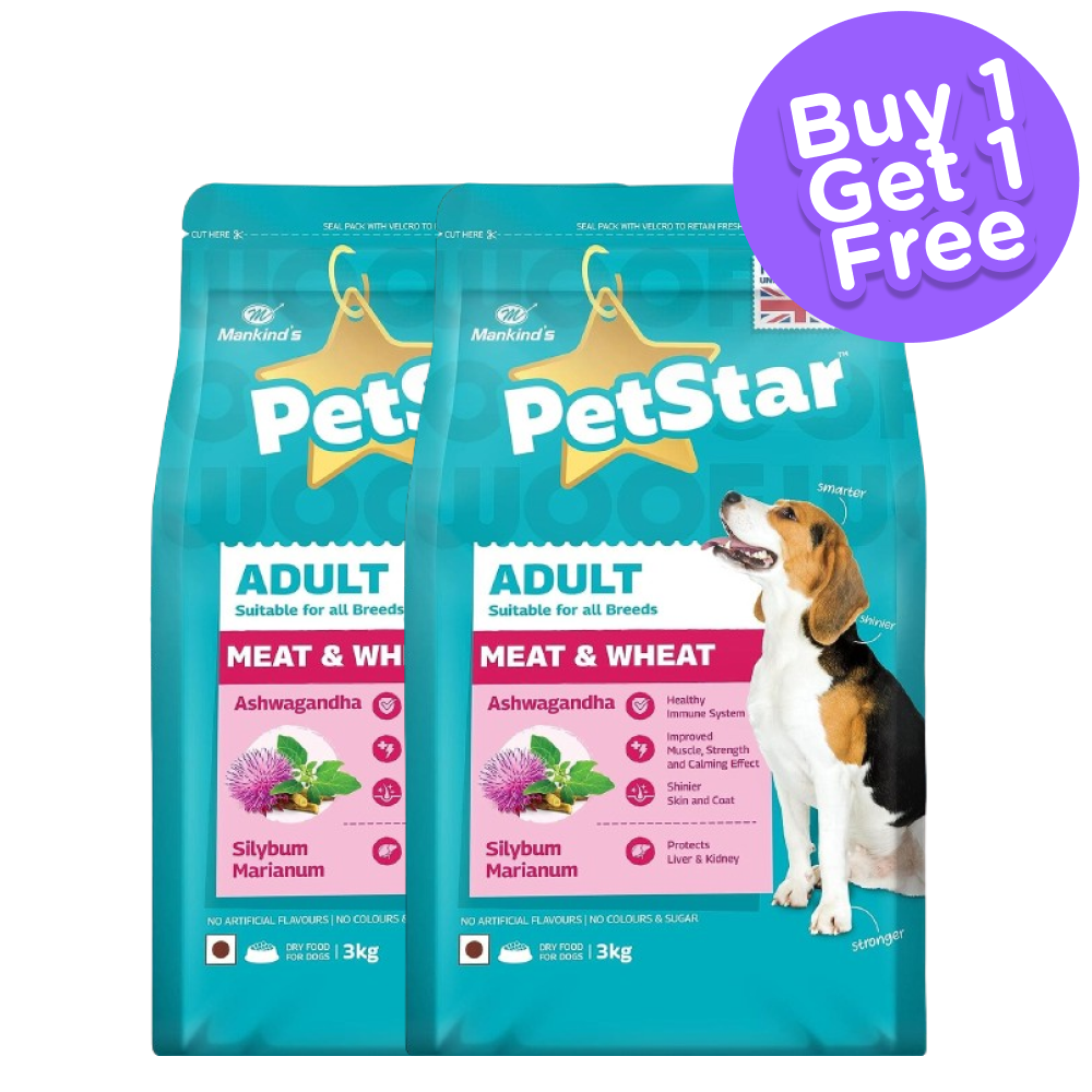 Animate online dog food