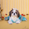 The Papaw Cartel Two Tiered Zardosi Lehenga With Stylish Choli for Dogs & Cats (Blue) Both-Clothing & Accessories The Papaw Cartel Dropship