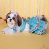 The Papaw Cartel Two Tiered Zardosi Lehenga With Stylish Choli for Dogs & Cats (Blue) Both-Clothing & Accessories The Papaw Cartel Dropship