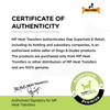 DOGZ & DUDEZ Tick and Flea Repellent Floor Cleaner for Dogs and Cats Both-Health & Wellness DOGZ & DUDEZ
