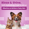 Bark Out Loud Allergy and Itch Relief Shampoo and Anti Microbial Skin Spray for Dogs and Cats Combo Dogs-Grooming Supplies Bark Out Loud